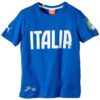 Puma FIGC Italia Graphic Tee Mens T-Shirt