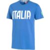 Puma FIGC Italia Graphic Tee Mens T-Shirt